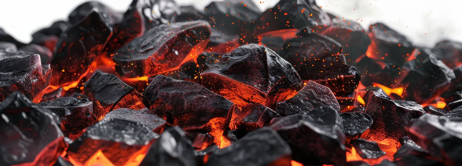 Coal